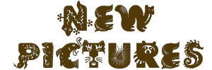 New pictures page.